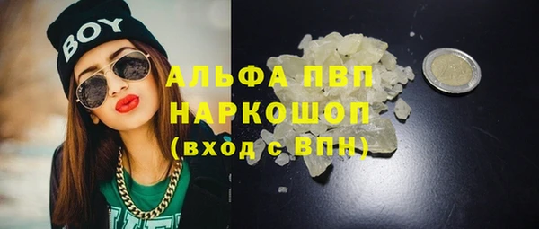 ECSTASY Горняк