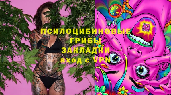 ECSTASY Горняк