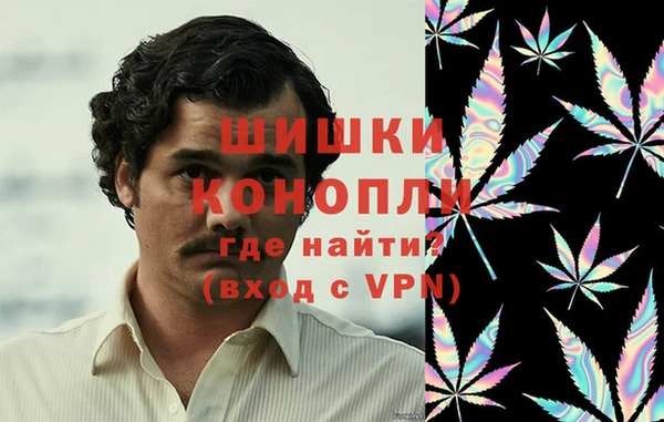 ECSTASY Горняк