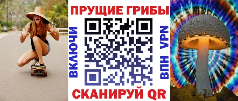 Галлюциногенные грибы MAGIC MUSHROOMS Купить где Переславль-Залесский
