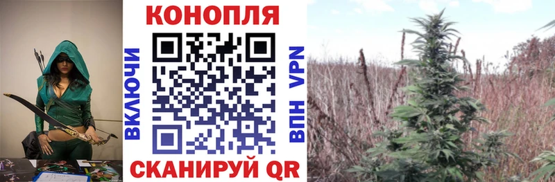 Купить где  Переславль-Залесский  Бошки марихуана SATIVA & INDICA 